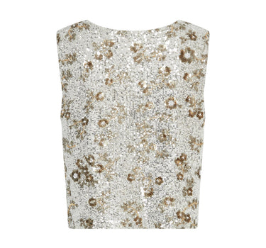 Sequins silver top